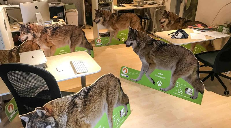 Tamsweg Office 0007.JPG